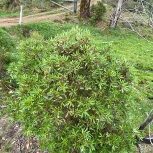 Unverified at suppressed - suppressed