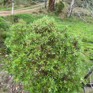 Unverified at suppressed - suppressed