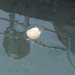 Unverified at suppressed - suppressed