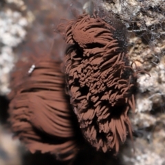 Unverified at suppressed - suppressed