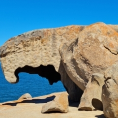 Unidentified Fossil / Geological Feature at Flinders Chase, SA - 16 Feb 2024 by Mike