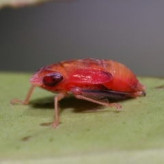 Unverified at suppressed - suppressed