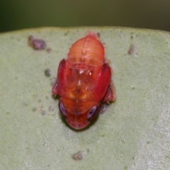 Unverified at suppressed - suppressed