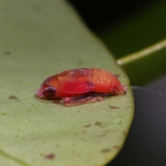 Unverified at suppressed - suppressed