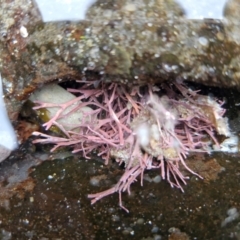 Unverified at suppressed - suppressed