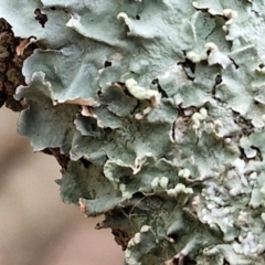 Unverified at suppressed - suppressed