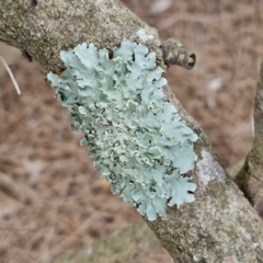 Unverified at suppressed - suppressed