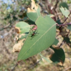 Unidentified at suppressed - 7 Mar 2024