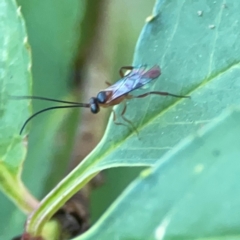 Unidentified at suppressed - 19 Mar 2024