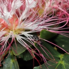 Unverified at suppressed - suppressed