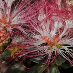 Unverified at suppressed - suppressed