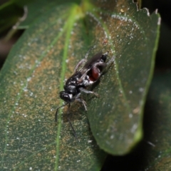 Unverified at suppressed - suppressed