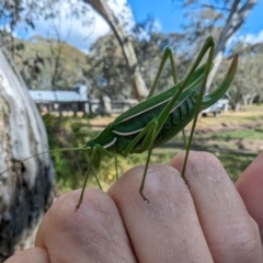 Unidentified at suppressed - 23 Mar 2024