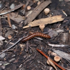 Unverified at suppressed - suppressed