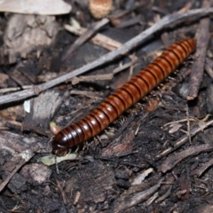 Unverified at suppressed - suppressed