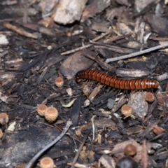 Unverified at suppressed - suppressed