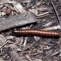 Unverified at suppressed - suppressed