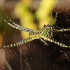 Unverified at suppressed - suppressed