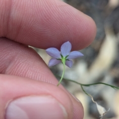 Unidentified at suppressed - 31 Mar 2024