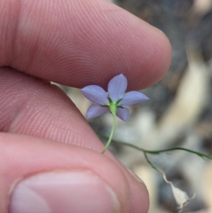 Unidentified at suppressed - 31 Mar 2024