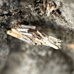 Unverified at suppressed - suppressed