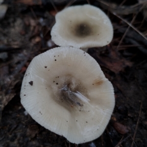 Unverified at suppressed - suppressed