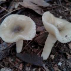 Unverified at suppressed - suppressed