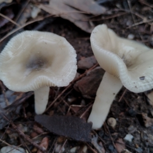 Unverified at suppressed - suppressed