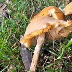 Unverified at suppressed - suppressed