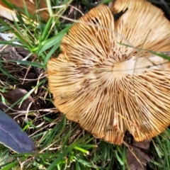 Unverified at suppressed - suppressed