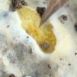 Unverified at suppressed - suppressed