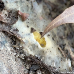 Unverified at suppressed - suppressed