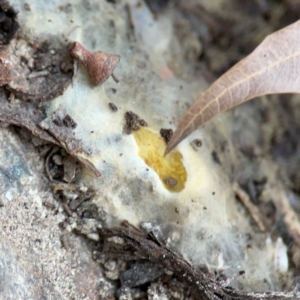 Unverified at suppressed - suppressed