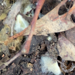 Unverified at suppressed - suppressed