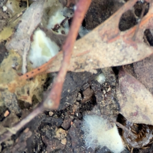 Unverified at suppressed - suppressed