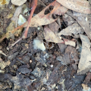 Unverified at suppressed - suppressed