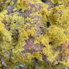 Unverified at suppressed - suppressed