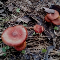 Unverified at suppressed - suppressed