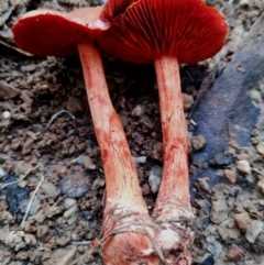 Unverified at suppressed - suppressed