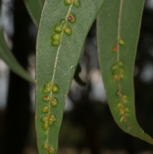 Unverified at suppressed - suppressed