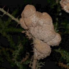 Unidentified at suppressed - 21 Apr 2023