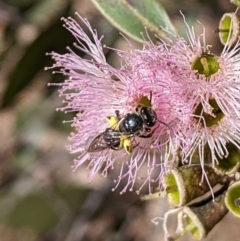 Unverified at suppressed - suppressed