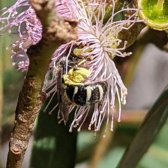 Unverified at suppressed - suppressed