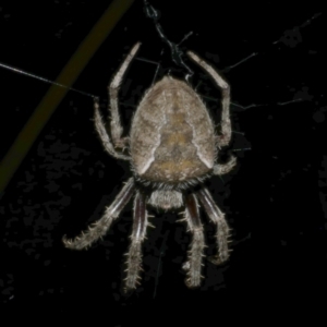 Unidentified at suppressed - 14 Apr 2023