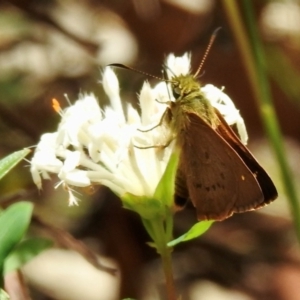 Unidentified at suppressed - 21 Jan 2023