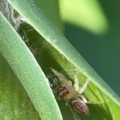 Unidentified at suppressed - 10 Jun 2024