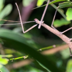 Unverified at suppressed - suppressed