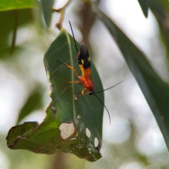 Unidentified at suppressed - 14 Jun 2024