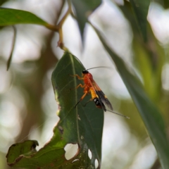 Unidentified at suppressed - 14 Jun 2024