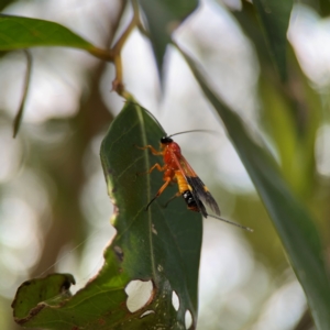 Unidentified at suppressed - 14 Jun 2024